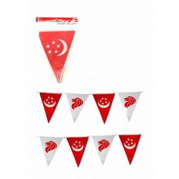 Singapore Triangle Bunting Flags
